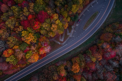 白天道路和秋树的航拍
